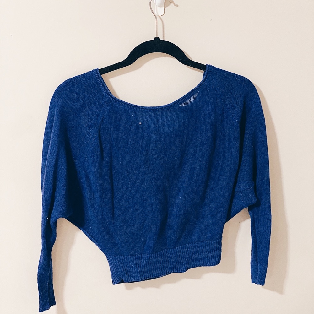 Blue Thin AE Cropped Sweater